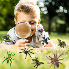 YOOHUA bug toy bees encourage curiosity and early science exploration.
