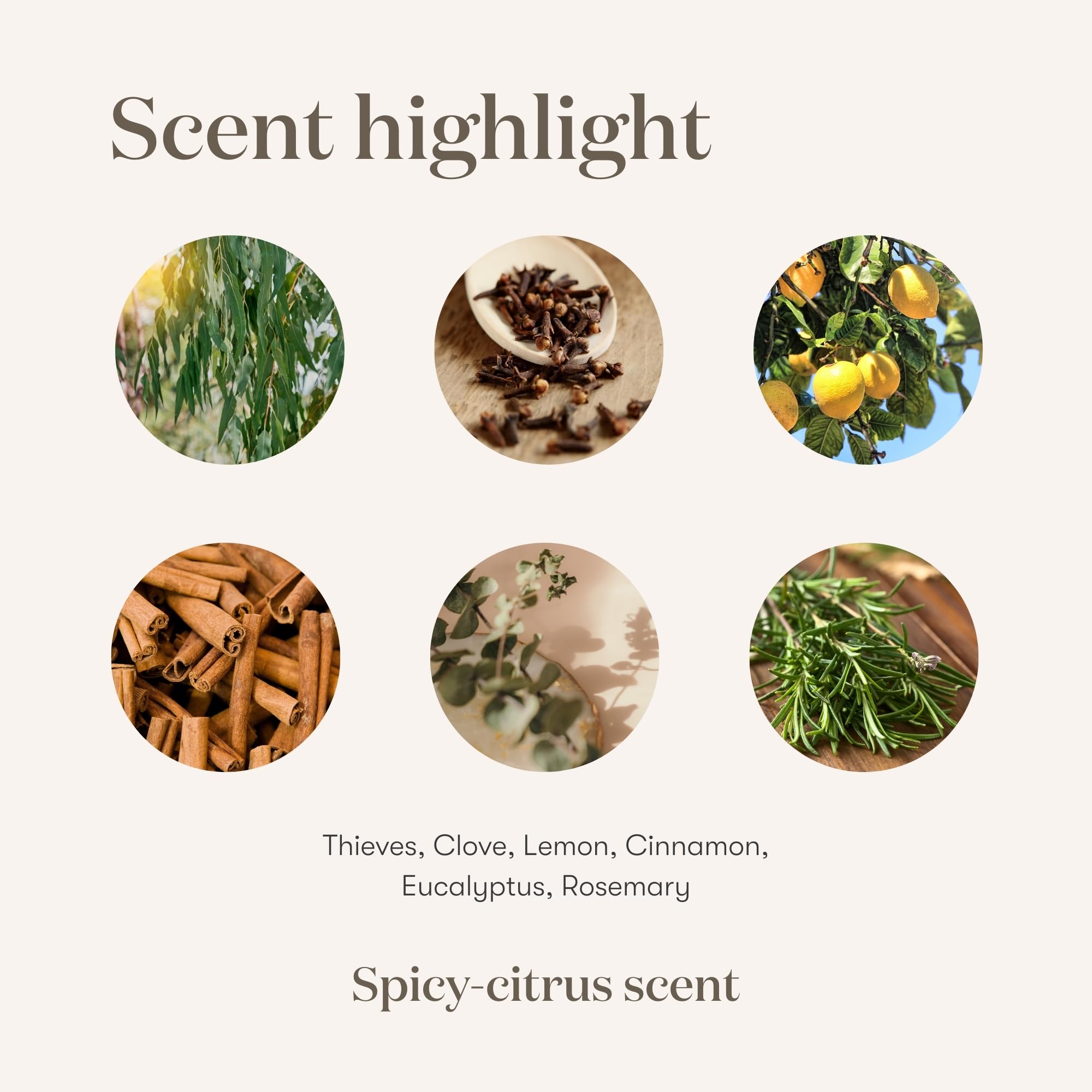 Young Living Thieves Cleaner aroma suggests autumn spice warmth while cutting grease.