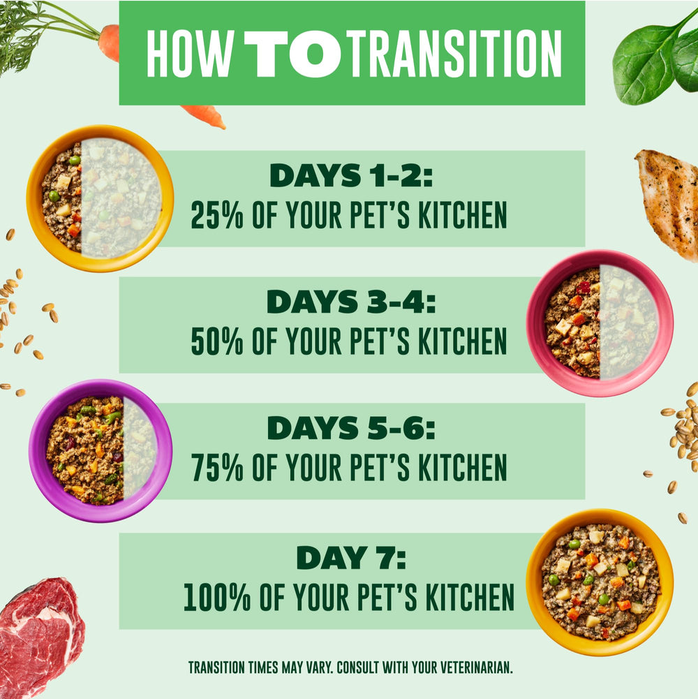 Your Pet's Kitchen served bowl, appetizing presentation for mealtime.