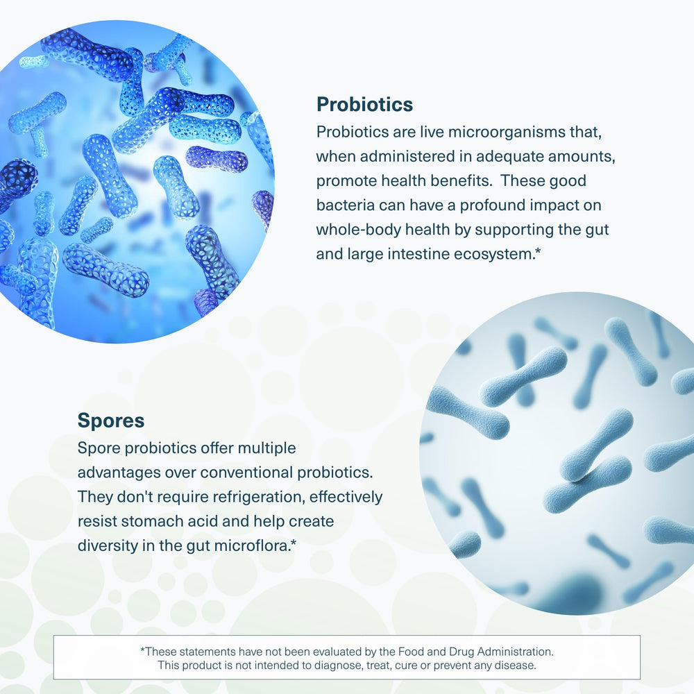 Close-up capsule emphasizing probiotic content for daily use.