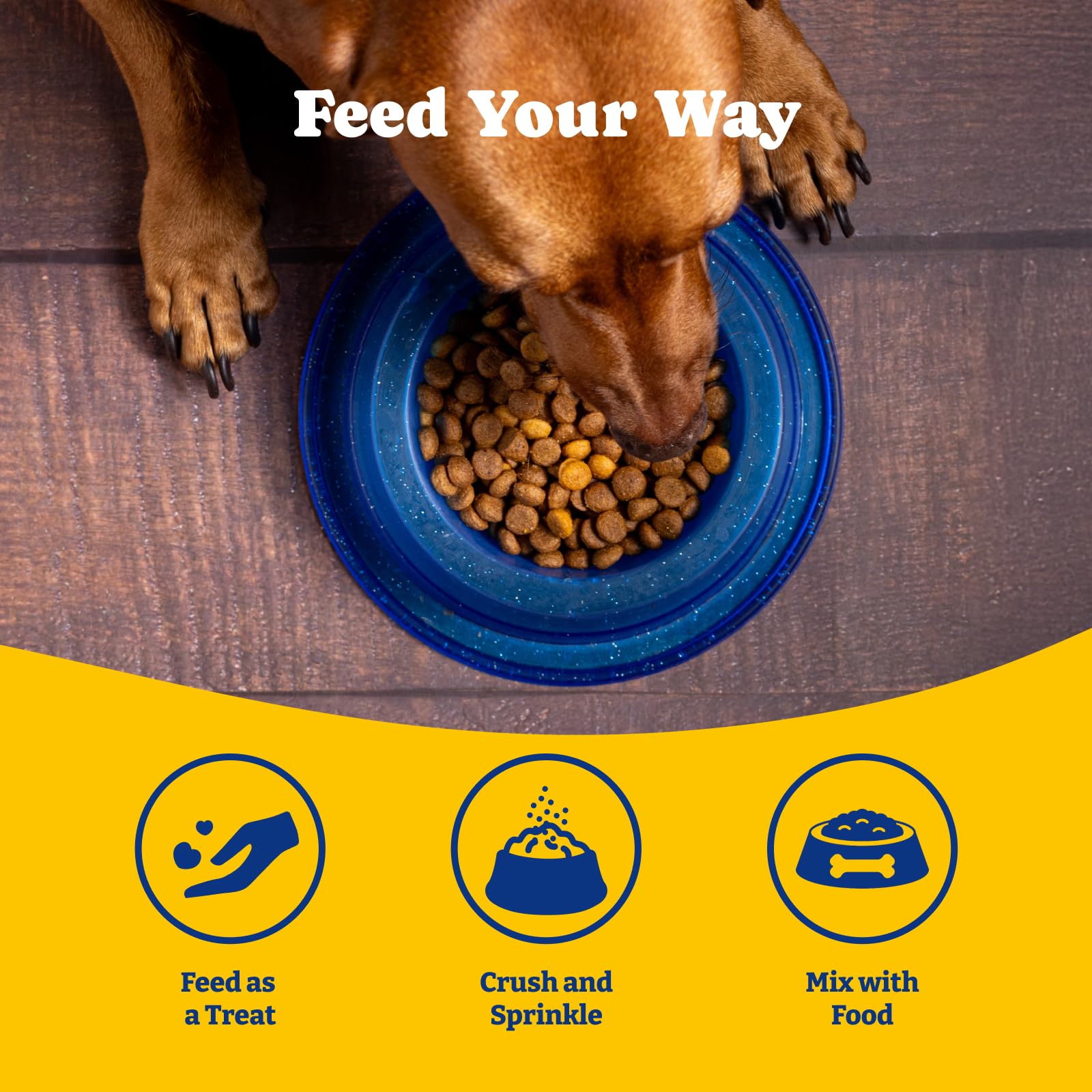 Happy dog enjoying a daily YoYoBay collagen treat.