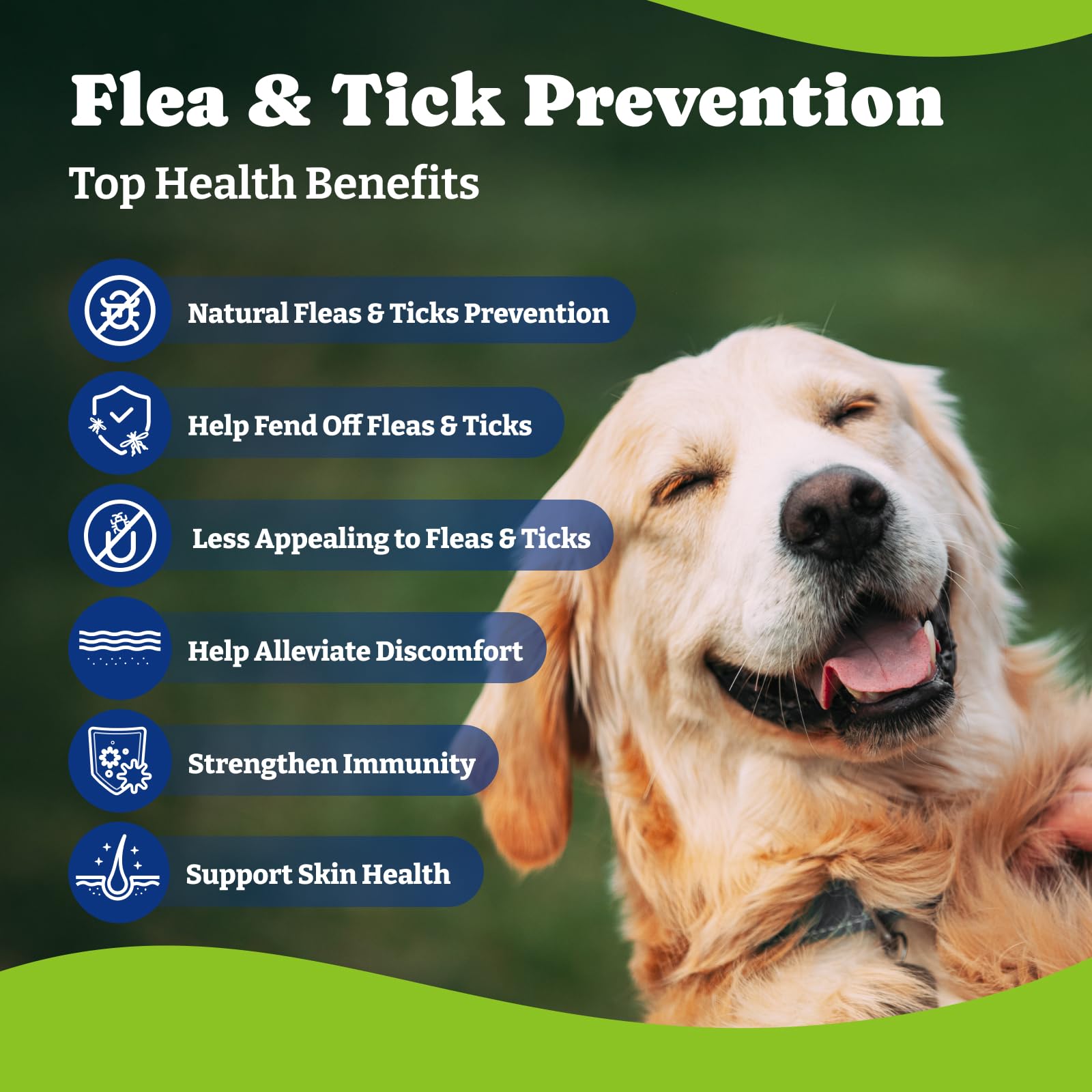 YoYoBay daily chew and dog bowl emphasize easy, everyday use