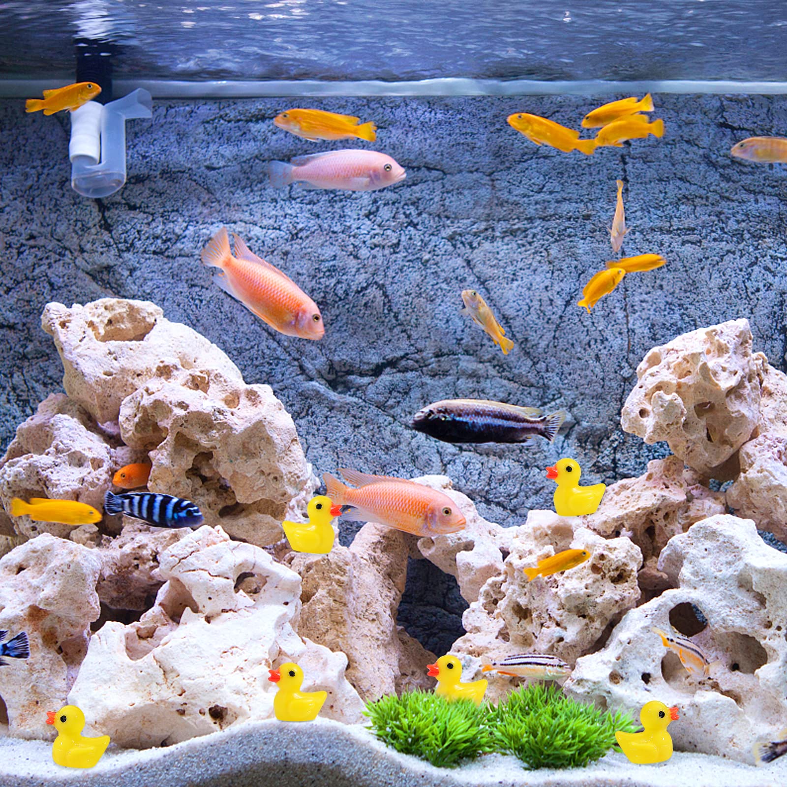 Wide DIY uses from slime decor to cake toppers with these ducks.