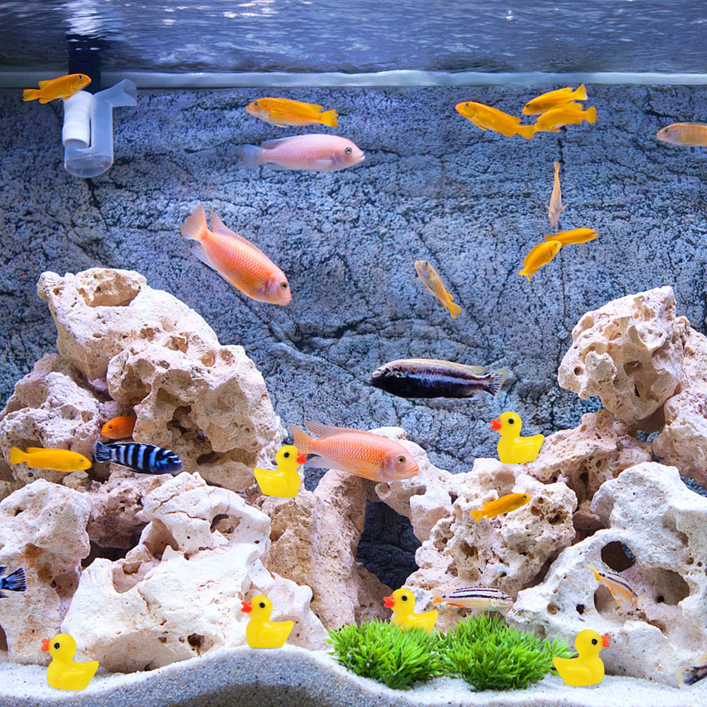 Wide DIY uses from slime decor to cake toppers with these ducks.
