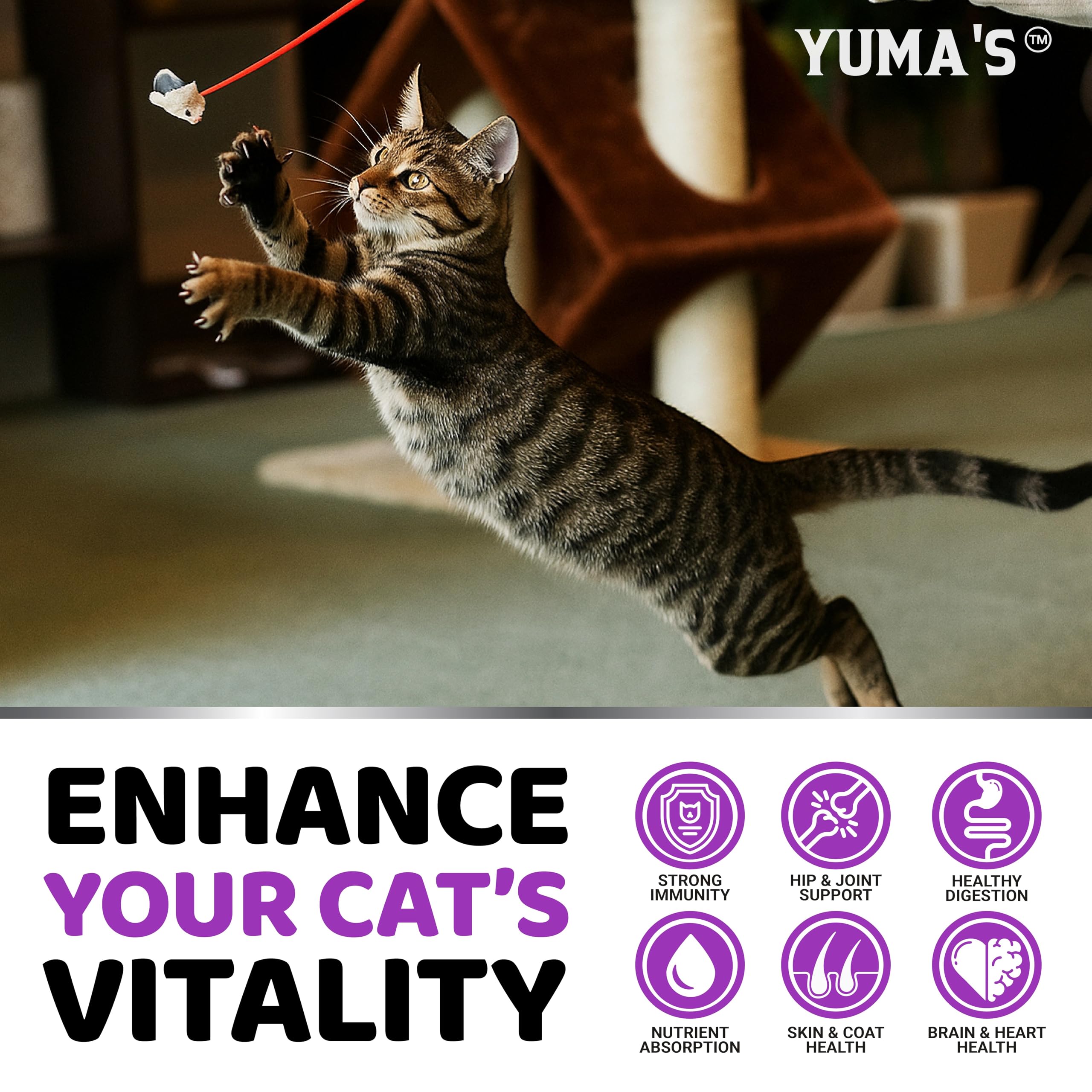 YUMA'S chat-probiotiques-digestion : améliore la digestion et le confort.