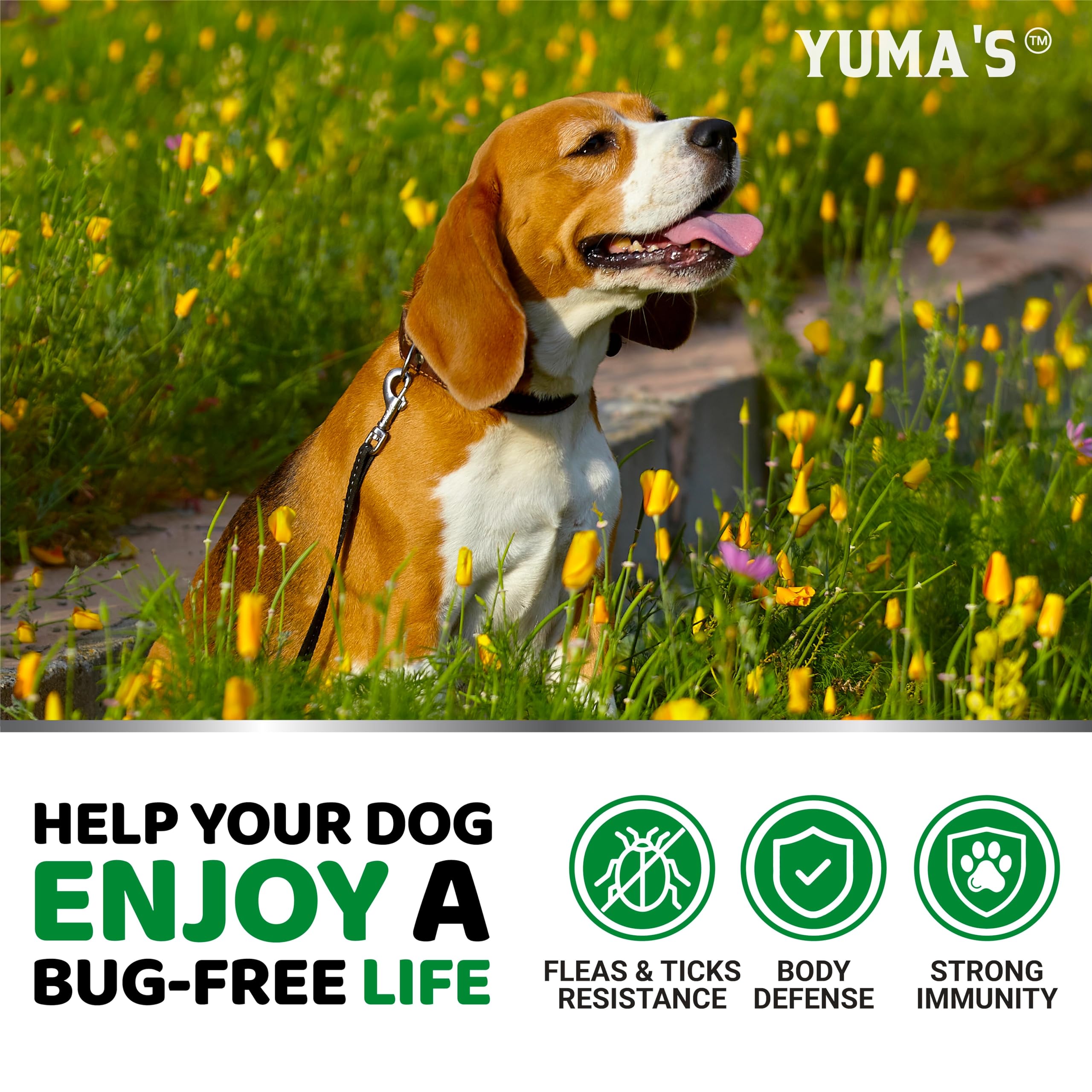YUMA'S all-breeds packaging highlights universal suitability for dogs.