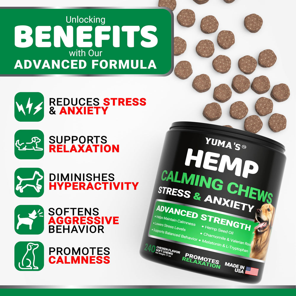 YUMA'S hemp calming chews for dogs during thunderstorms helps soothe tense moments.