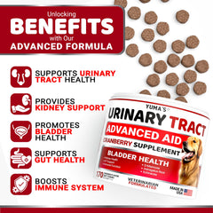 YUMA'S Dog UTI Chews close-up of cranberry treats for gut and bladder health.