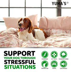 YUMA'S Hemp Calming Chews for dogs help during thunderstorms and car rides.