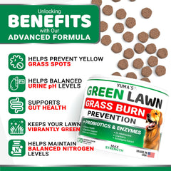 YUMA'S ingredients label showing probiotics and digestive enzymes.
