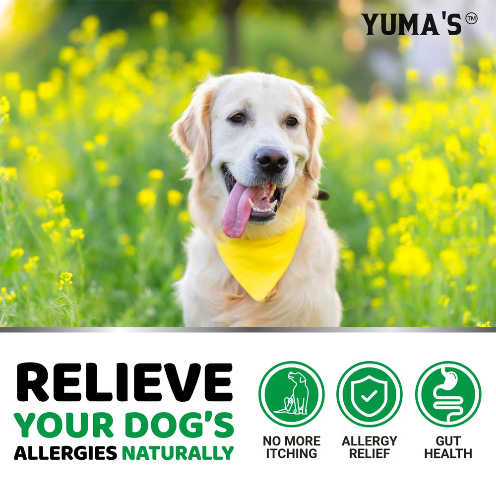 YUMA'S USA-made production emphasizes quality for dog skin and coat
