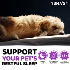 YUMA'S Melatonin for dogs after storms: ease nerves and barking