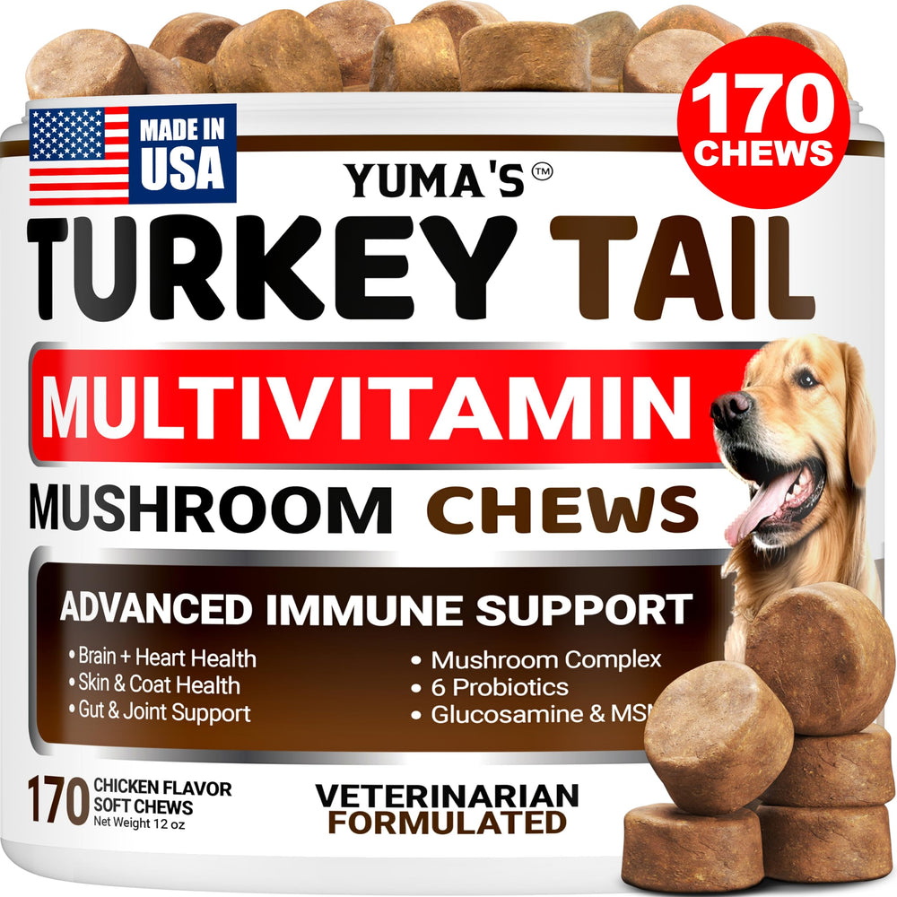 YUMA'S Turkey Tail for Dogs bottle pour showing immune and energy support