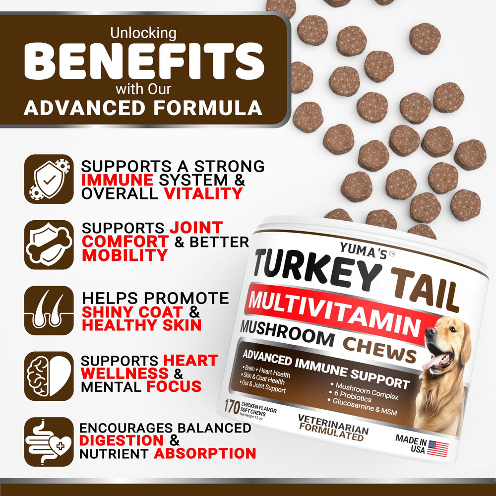 YUMA'S Turkey Tail for Dogs chews closeup highlighting joint and coat health