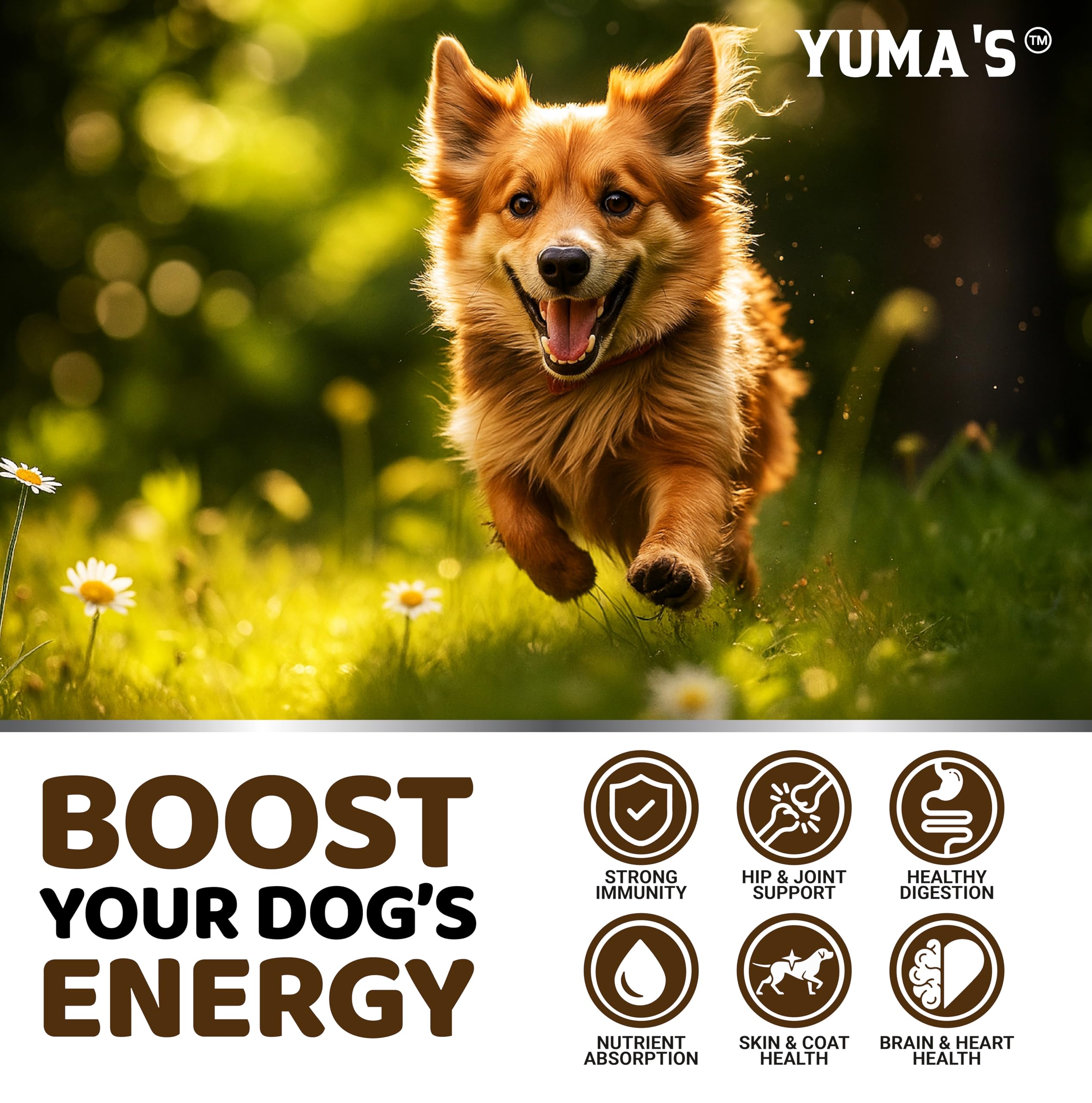 YUMA'S Turkey Tail for Dogs digestive health benefits in chews