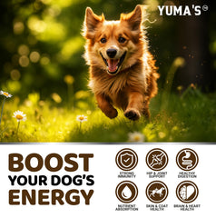 YUMA'S Turkey Tail for Dogs digestive health benefits in chews