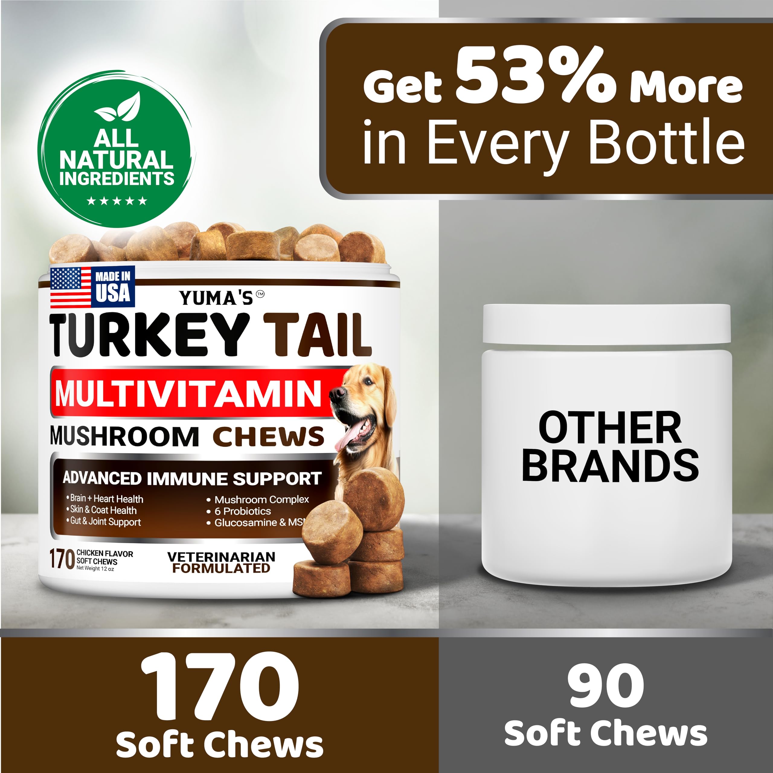 YUMA'S Turkey Tail for Dogs immune health support in daily regimen