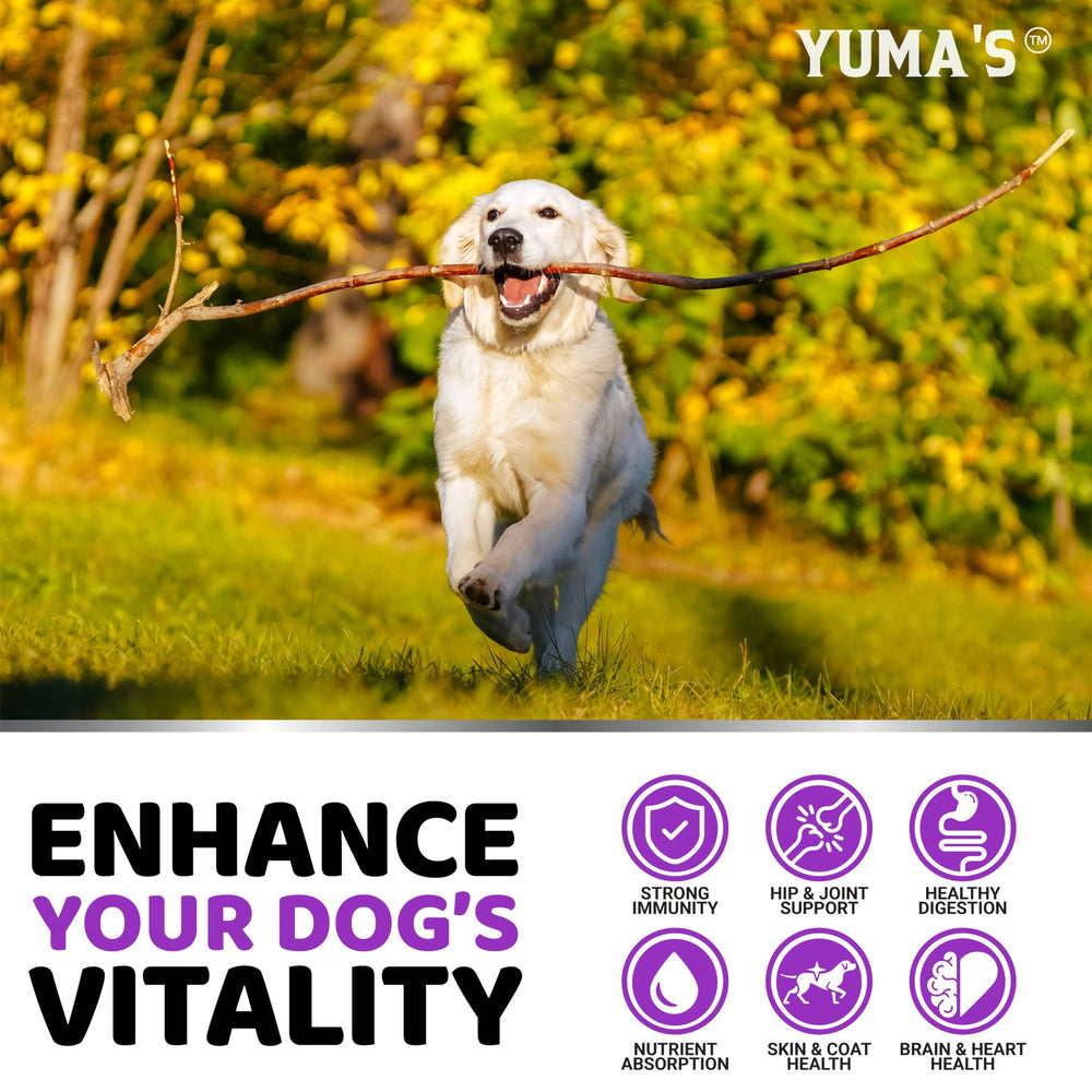 YUMA'S USA-made facility badge on packaging closeup.