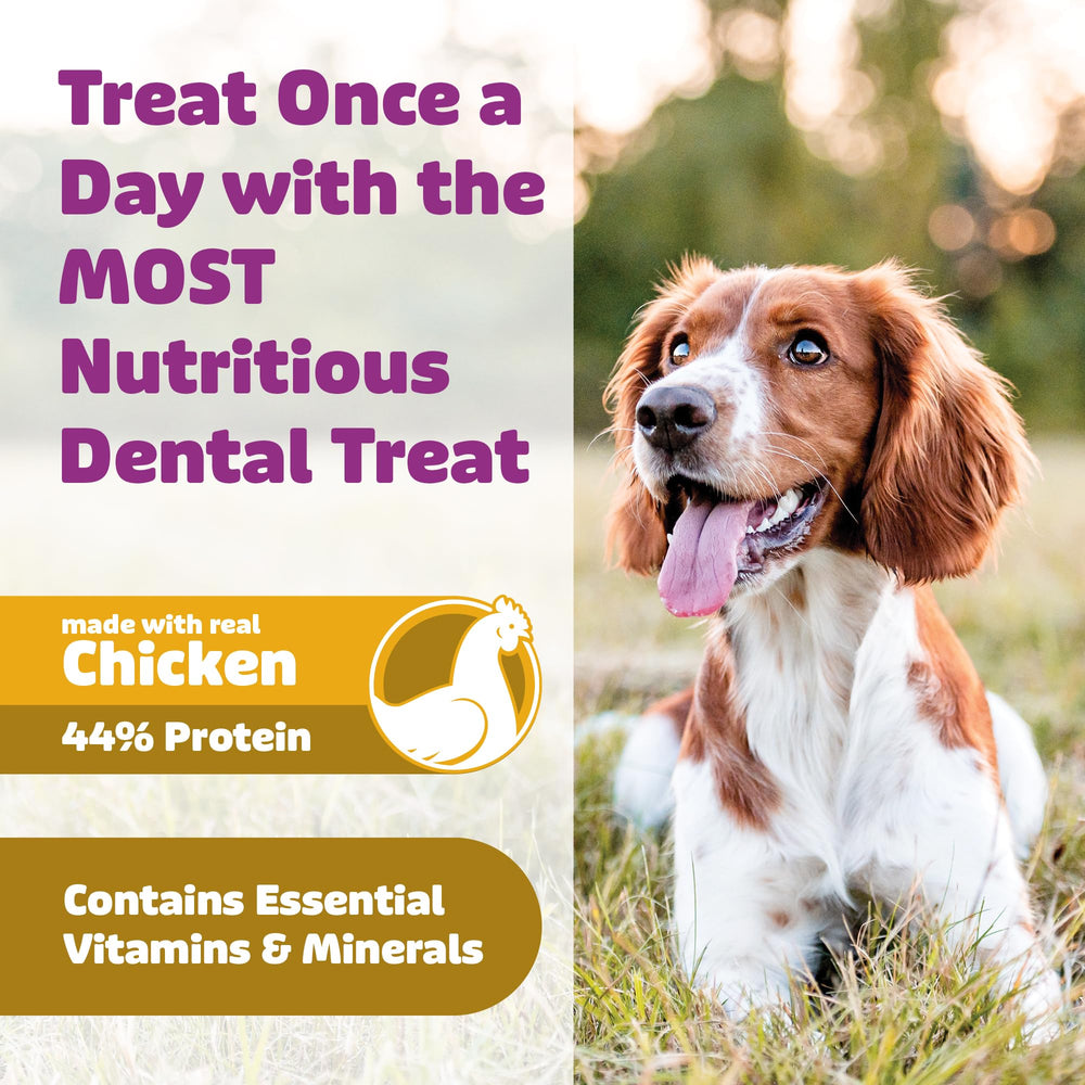 Yummy Combs ingredient panel shows grain-free, non-GMO, all-natural ingredients.