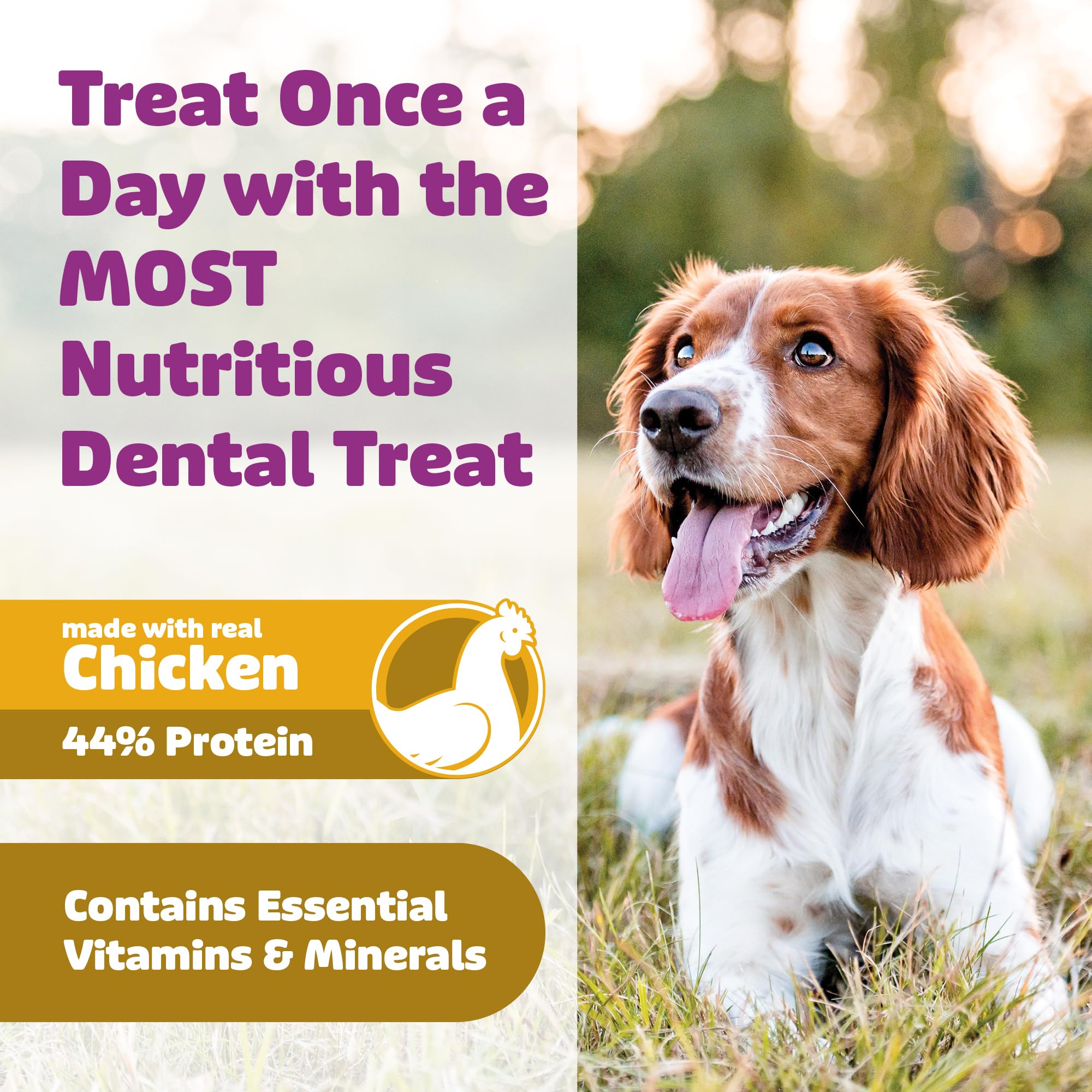 Yummy Combs size-range accommodates dogs from small to large breeds.