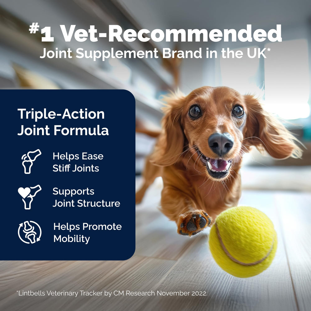 YuMOVE vitamins C and E antioxidants support mobility