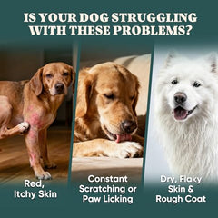 YYTKMY dog allergy chews pour shot shows easy dosing for daily routine.
