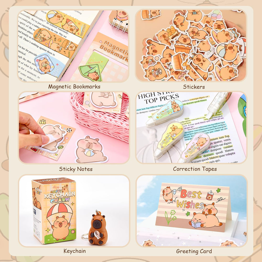 Zadoreck magnetic bookmarks help mark pages without damaging paper