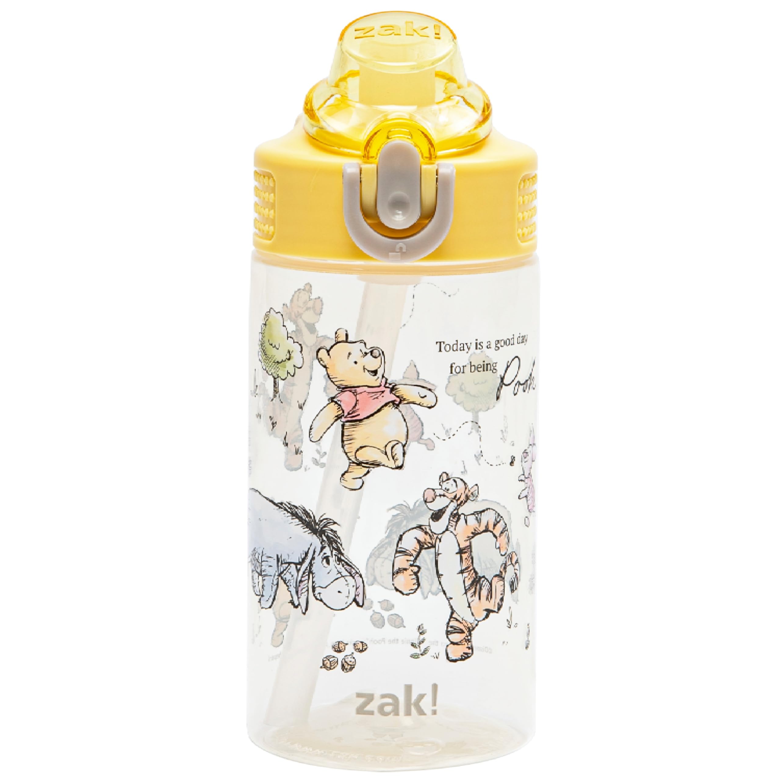 Zak Designs Winnie the Pooh sage 16oz bottle front view for daily school hydration