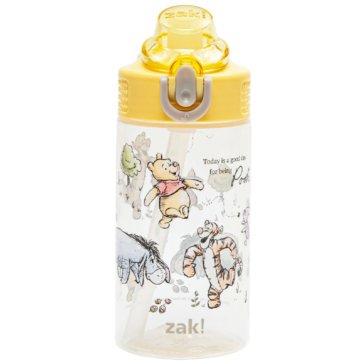 Zak Designs Winnie the Pooh sage 16oz bottle front view for daily school hydration