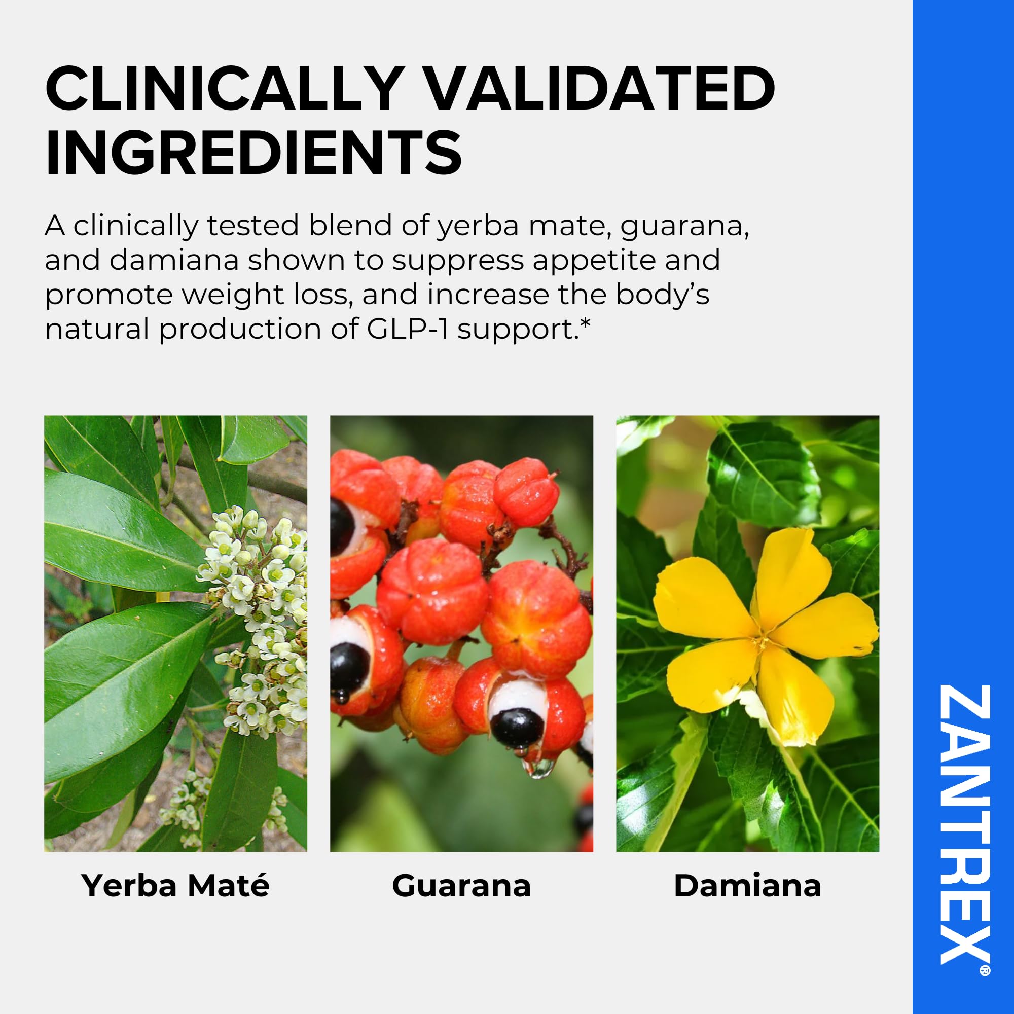 Zantrex Blue label design emphasizing thermogenesis and appetite control benefits