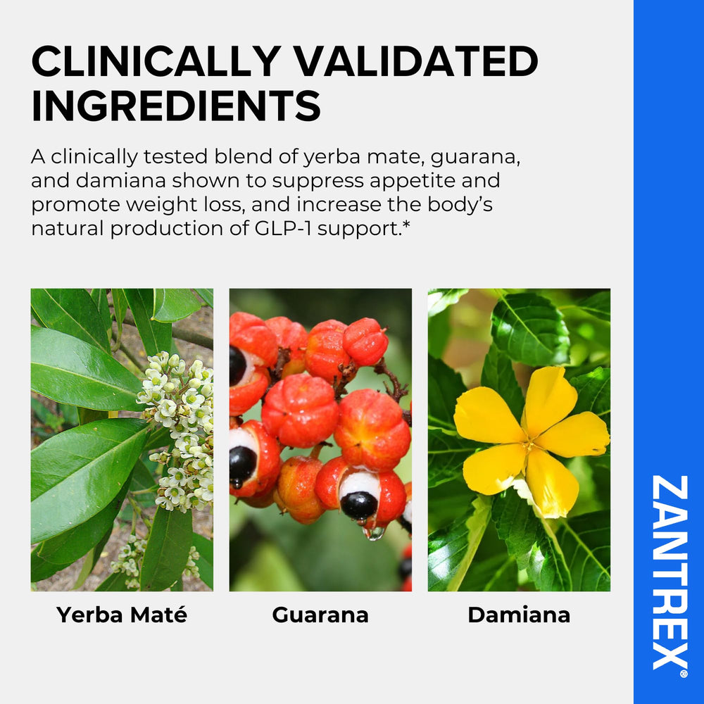 Zantrex Blue label design emphasizing thermogenesis and appetite control benefits