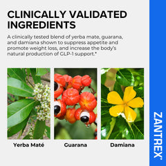 Zantrex Blue label design emphasizing thermogenesis and appetite control benefits