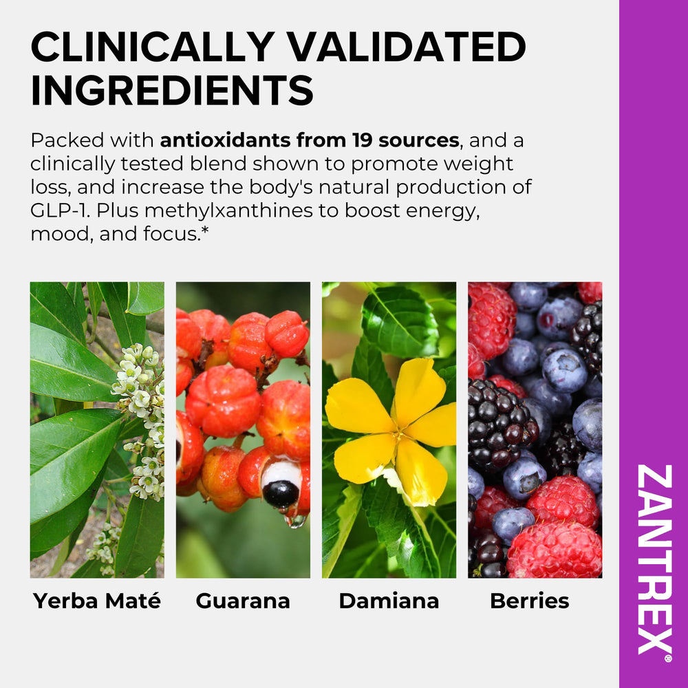 Zantrex SkinnyStix Berry Fusion ingredients label for clean formulation transparency