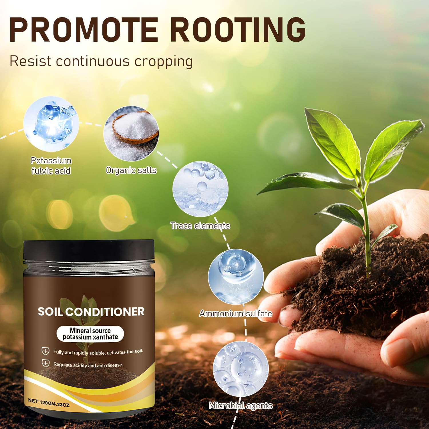 Zardlect Raised bed setup with soil activator benefiting plants