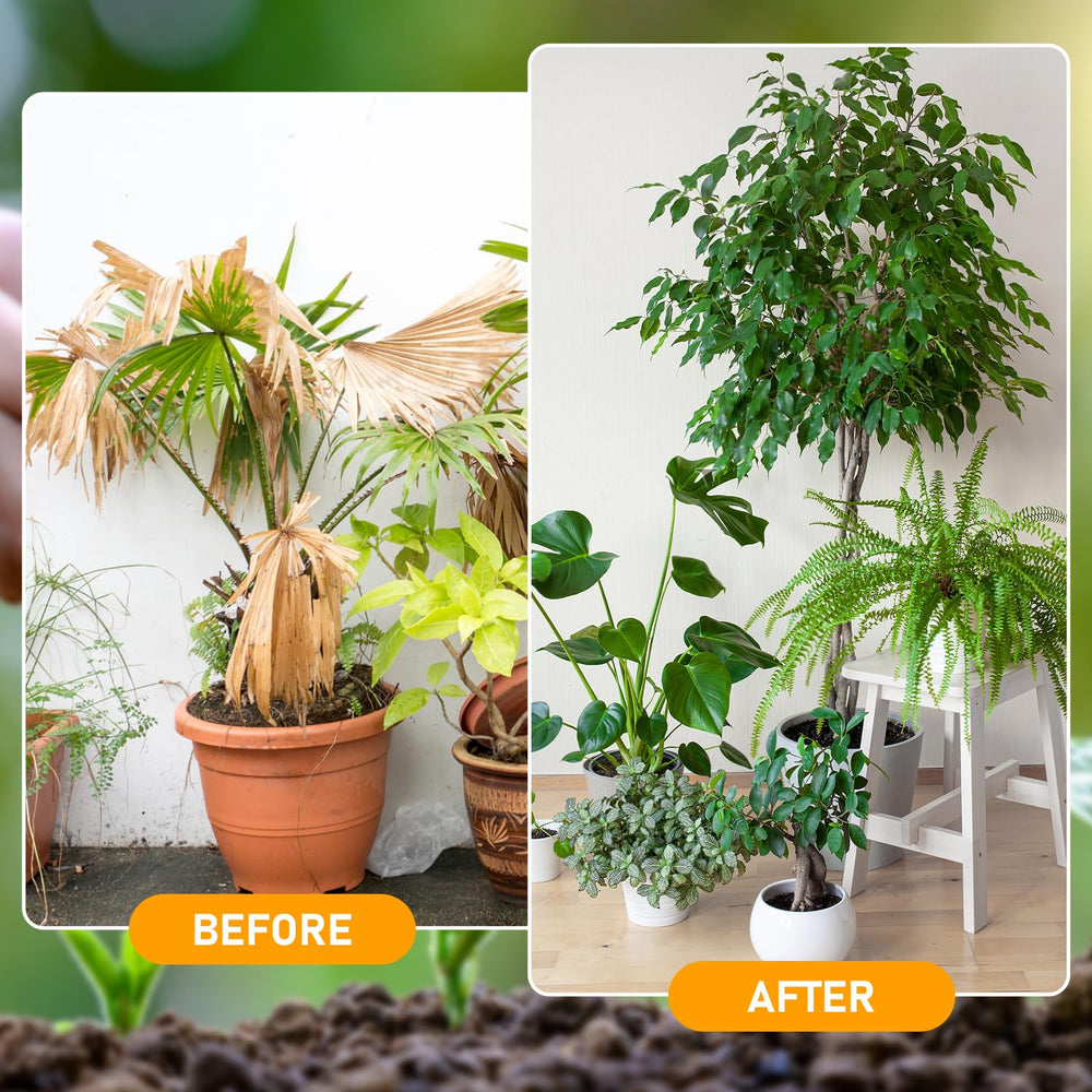 Zardlect Rich soil texture after applying soil activator in a planter
