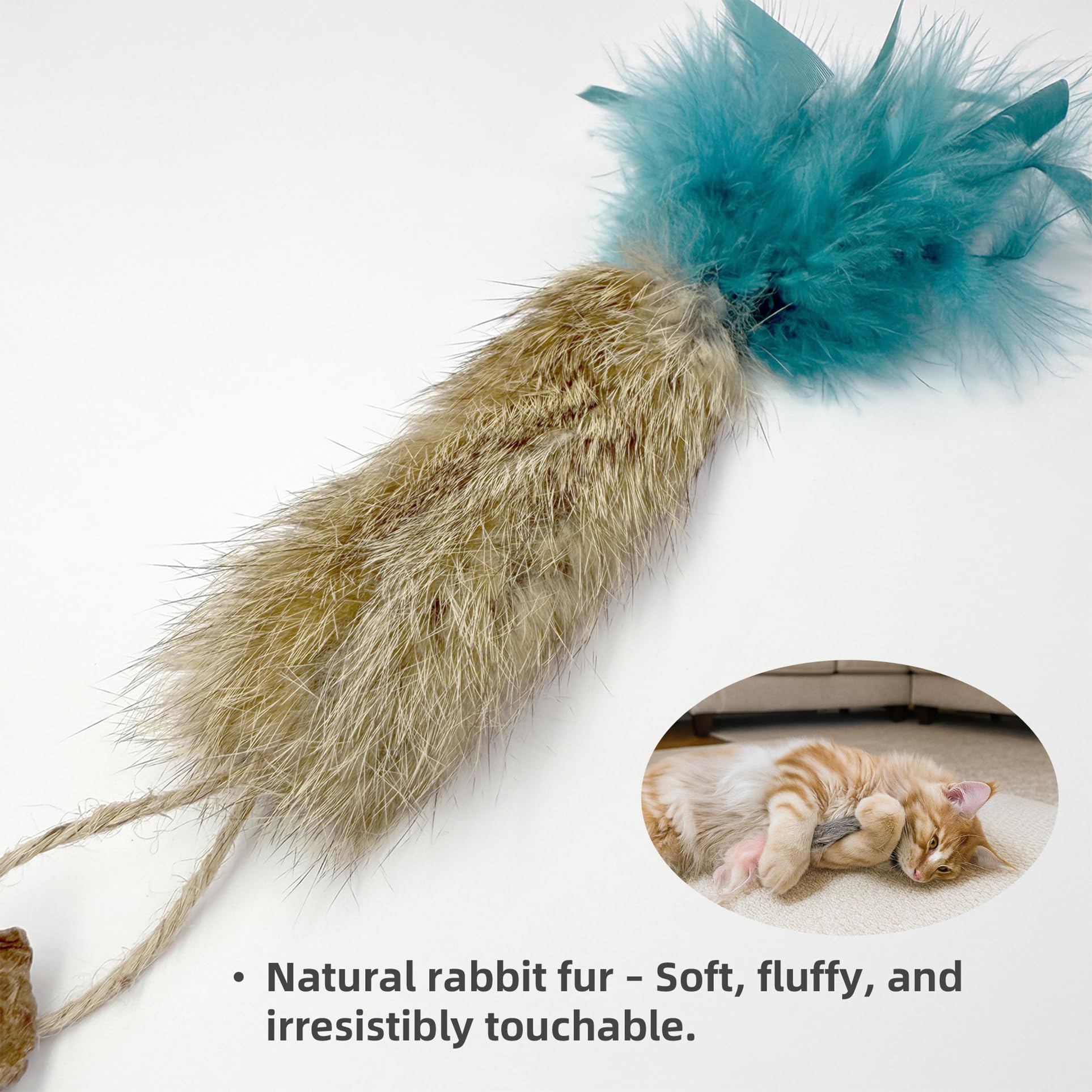 ZAYLUMO indoor cat playtime with lightweight, safe carrot toys
