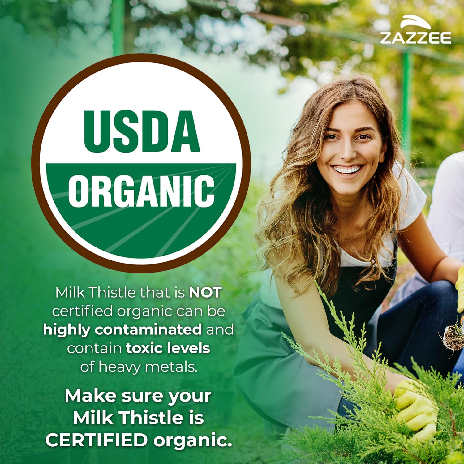 Zazzee Organic Milk Thistle label highlights 80% silymarin content.