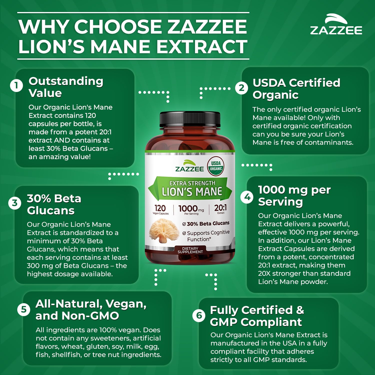 Zazzee Lion's Mane 20:1 extract on a clean kitchen counter for daily use.