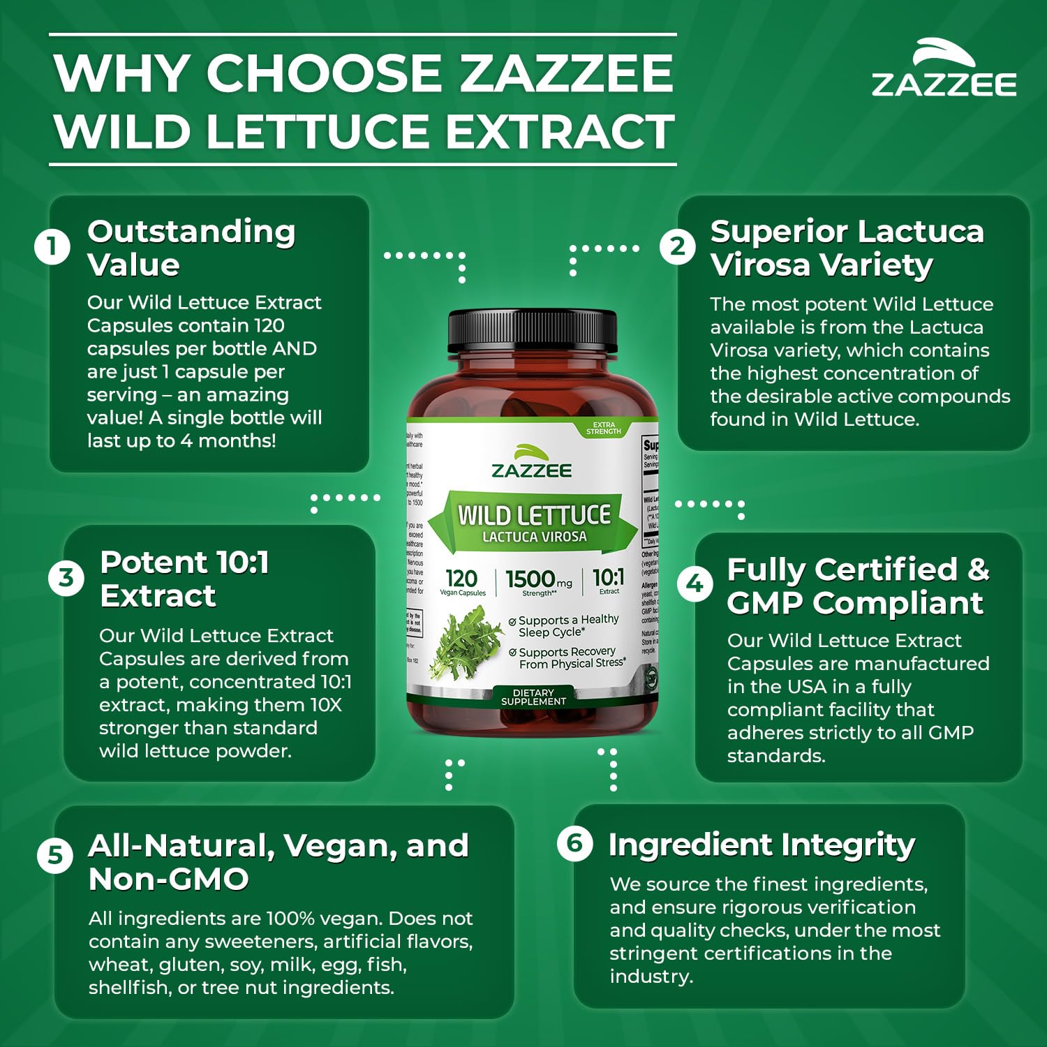 Zazzee bottle side view highlights concentrated 10:1 extract potency