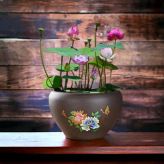 ZEshops lotus seeds pink bloom close-up ideal for bright indoor spaces.