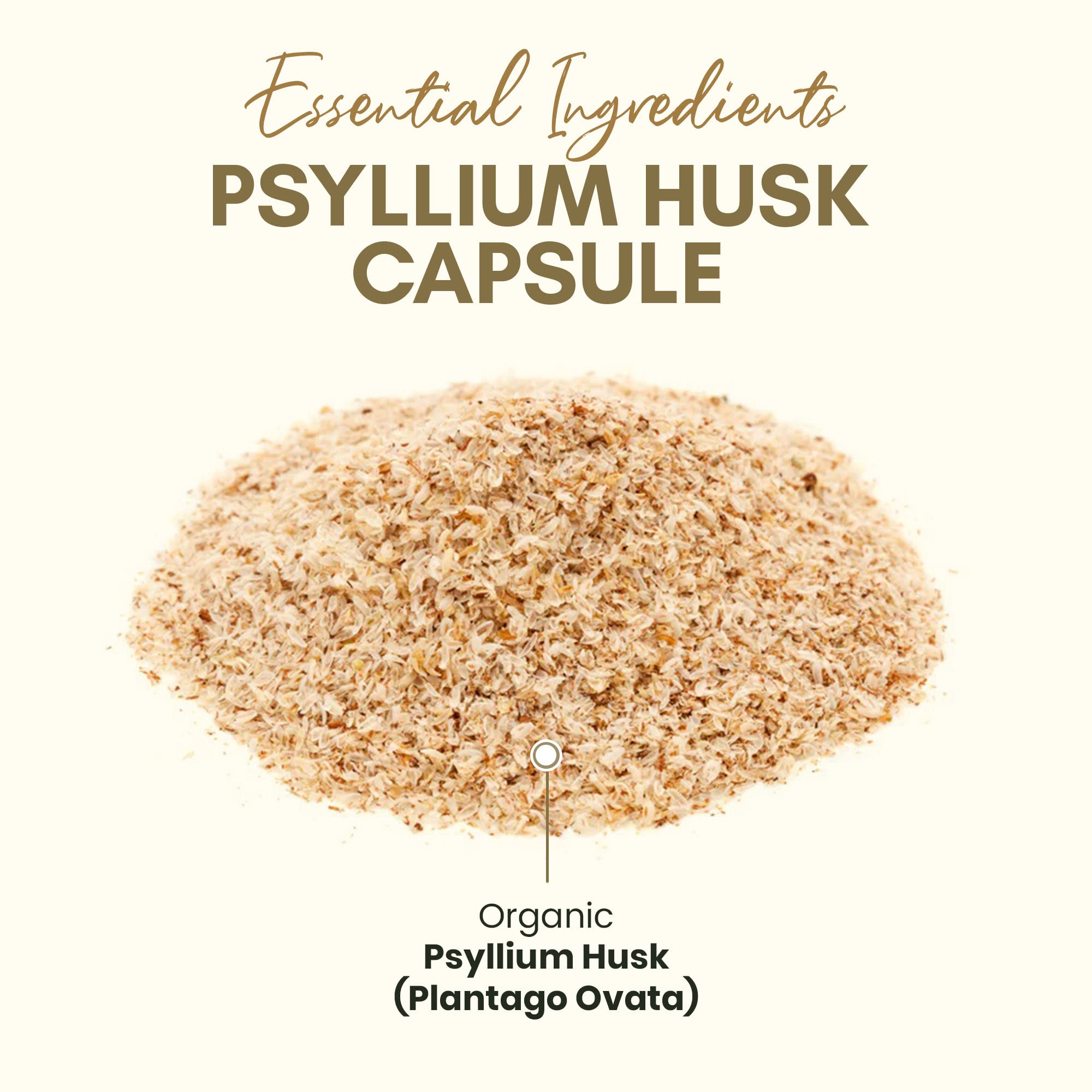 Z Zealthy Life psyllium capsules pouring into a glass for easy use