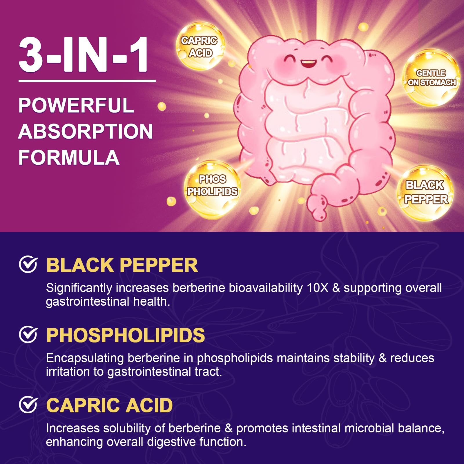 ZEBORA Berberine HCL bottle packaging with GMP-certified quality