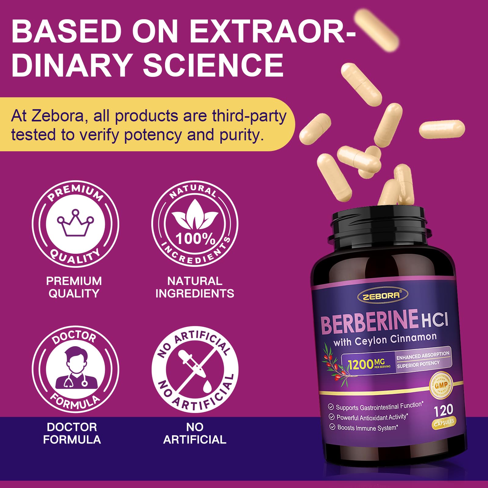 ZEBORA Berberine HCL usage scene with water for daily routine