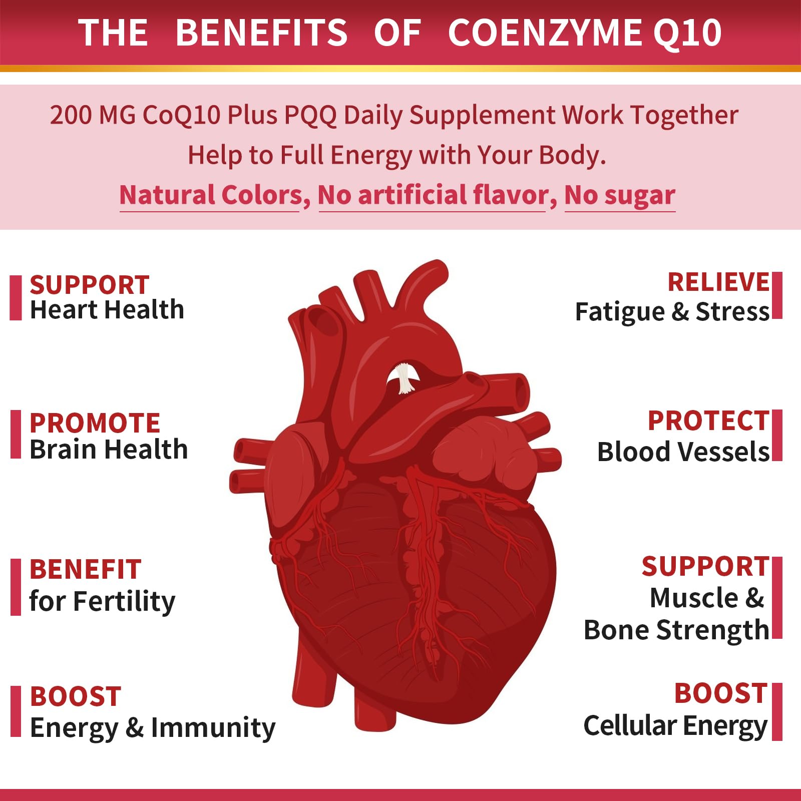 ZEBORA CoQ10 softgels with omega-3 supporting heart and brain.