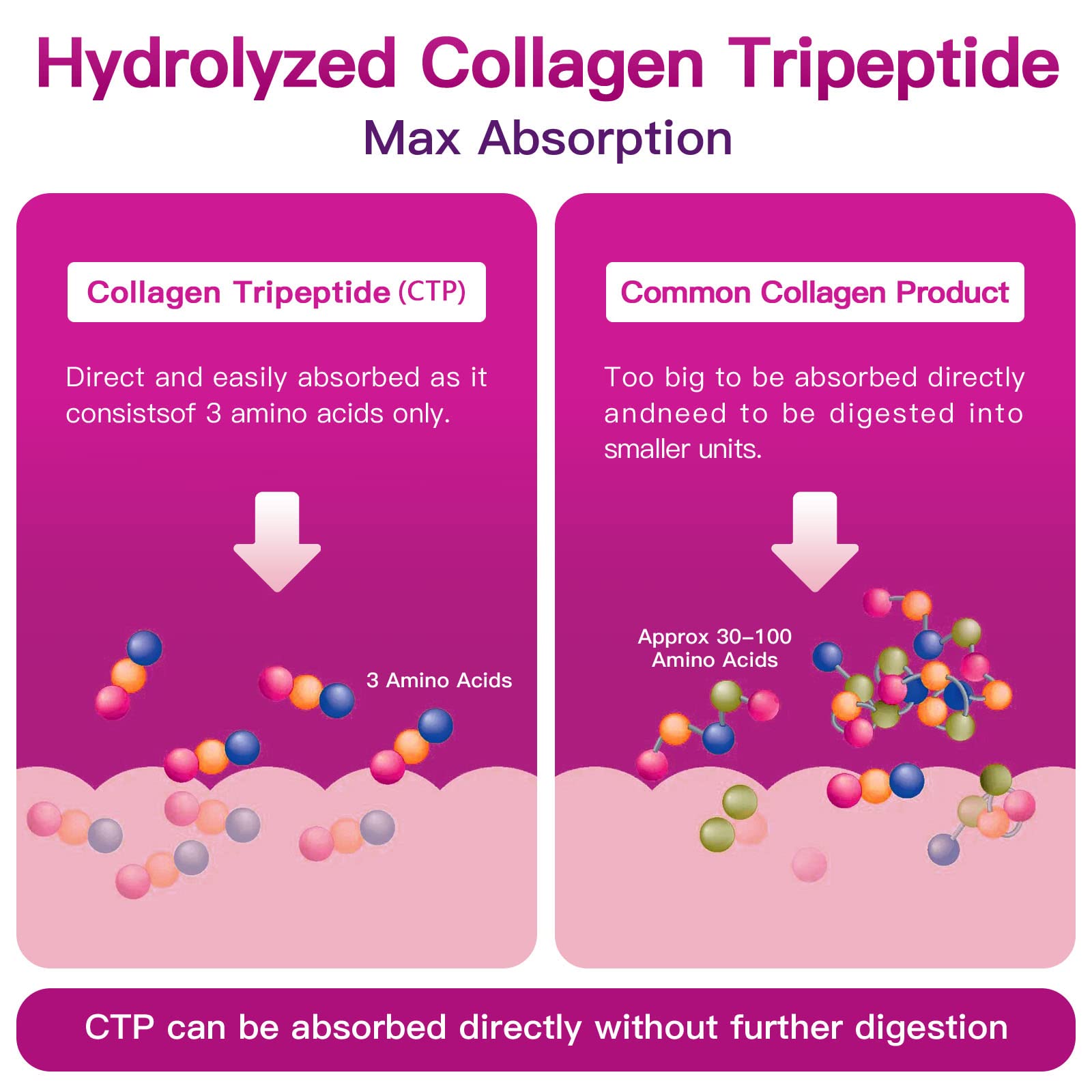 Eco-friendly packaging for ZEBORA Multi Collagen Peptides