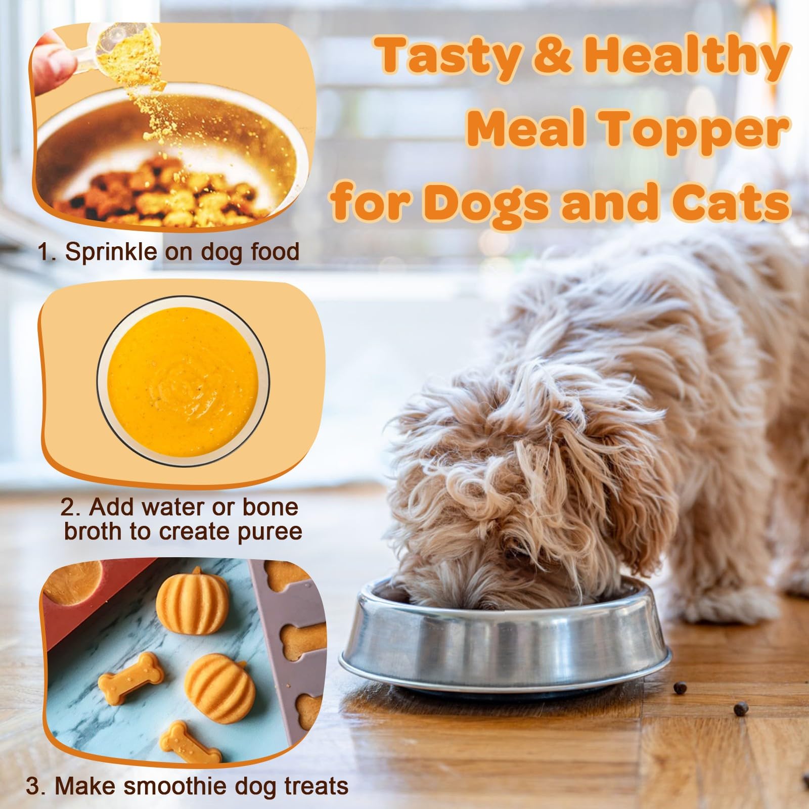 ZEBORA utilisation-quotidienne-chien-et-chat: routine digestive simple et pratique