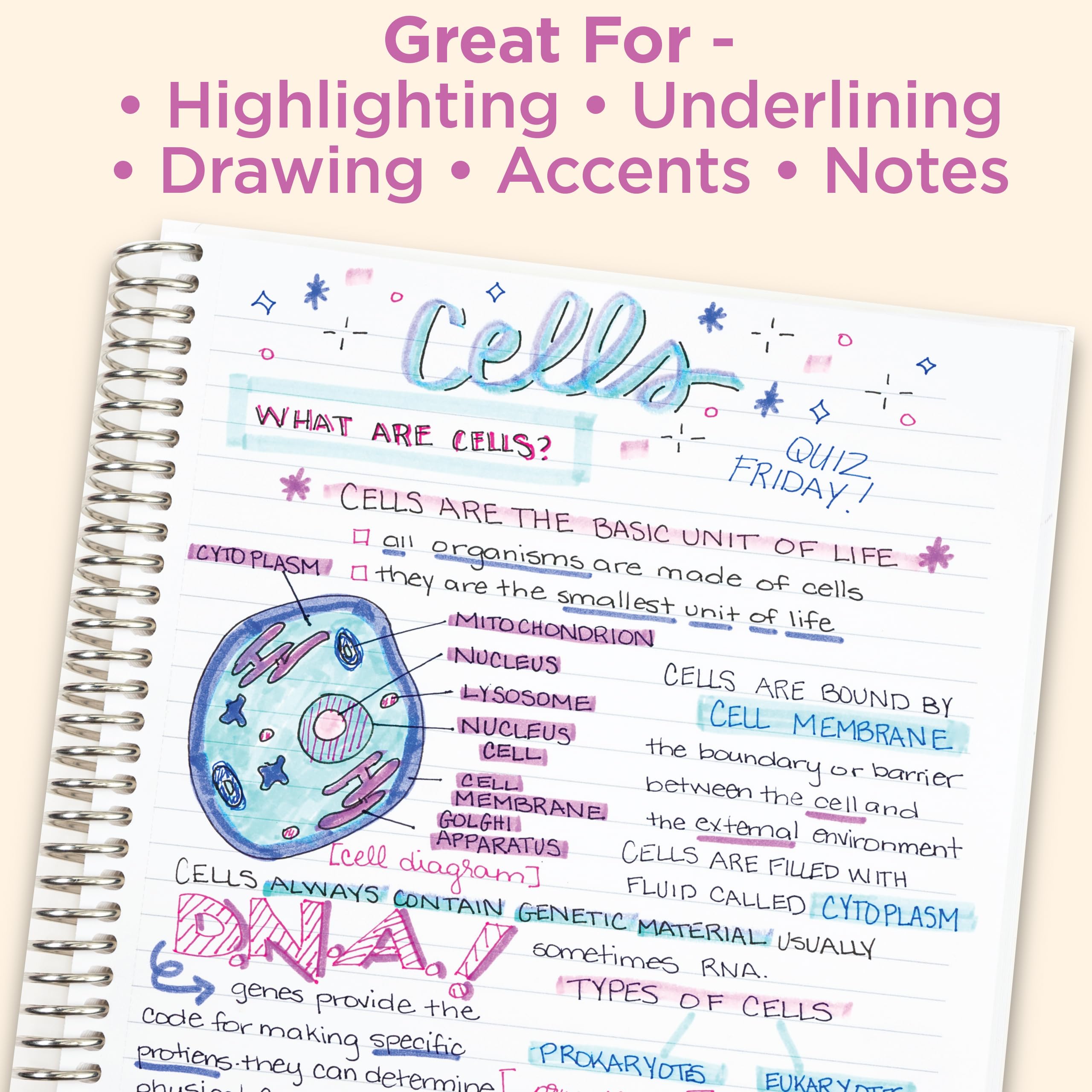 Zebra Pen Mildliner journal entry featuring mint and mimosa highlights