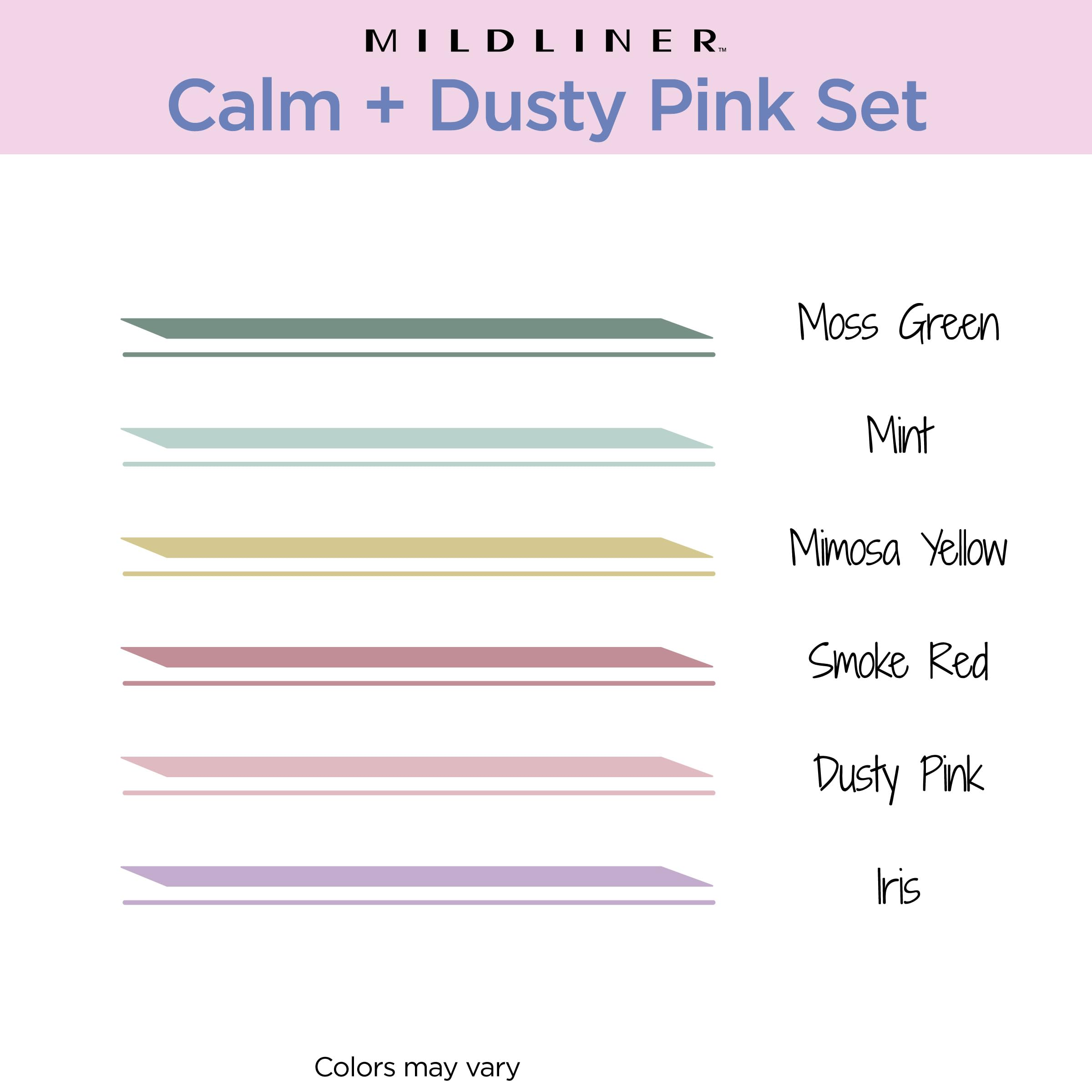Zebra Pen Mildliner no-bleed ink on thin pages supports Bible study notes