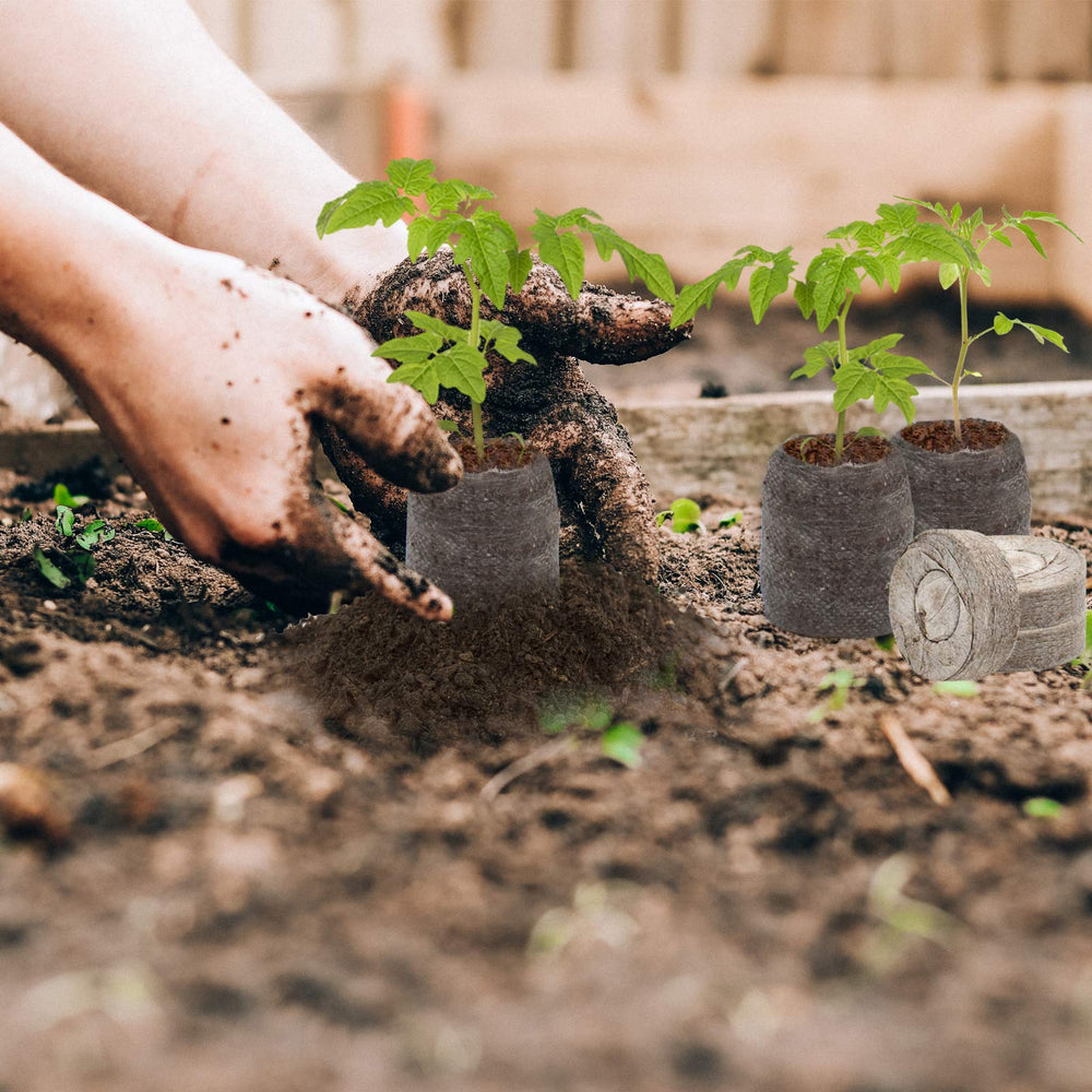 ZeeDix easy transplant system minimizes root disturbance during setup