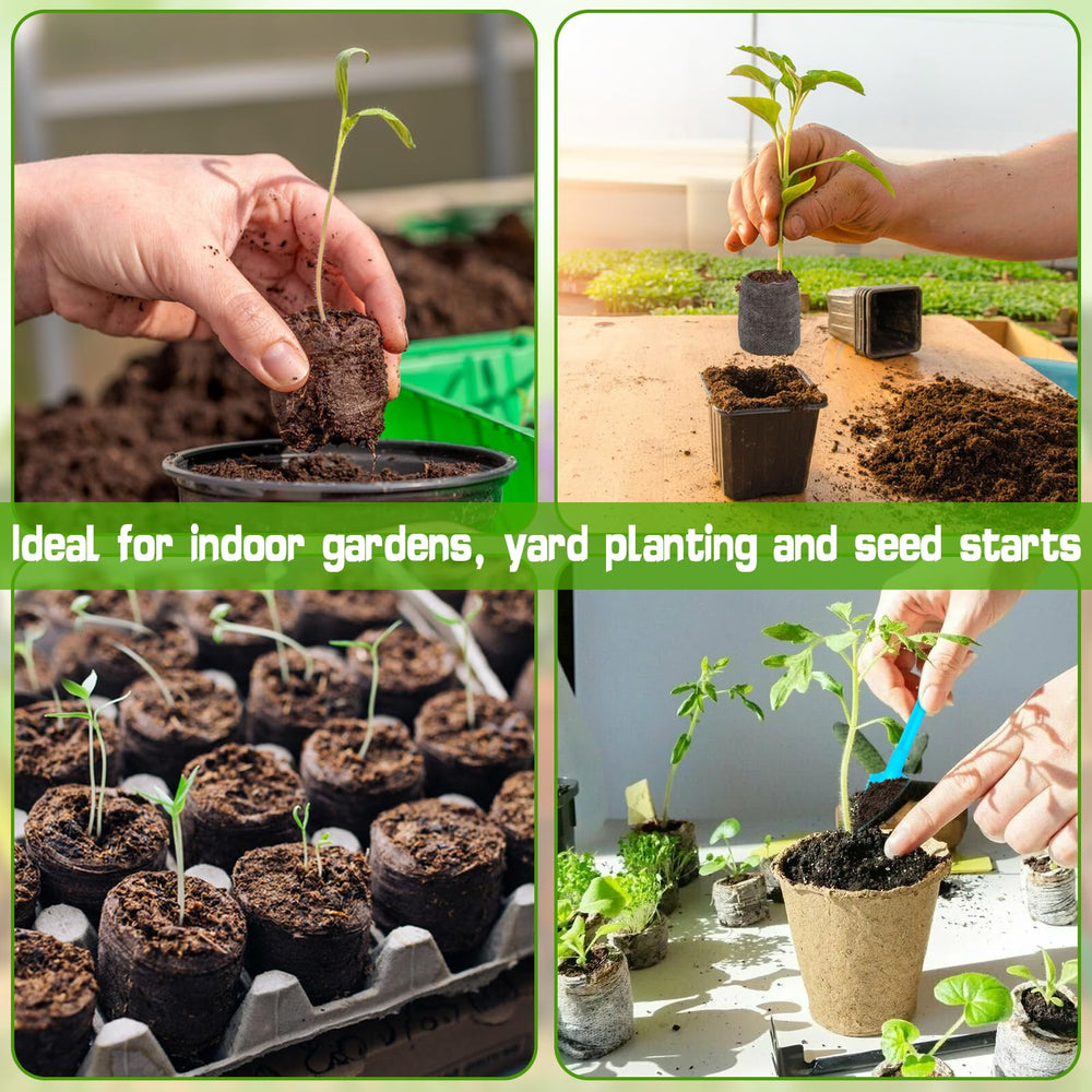 ZeeDix mini-greenhouse design helps beginners keep seedlings moist